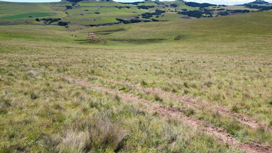 0 Bedroom Property for Sale in Maclear Rural Eastern Cape